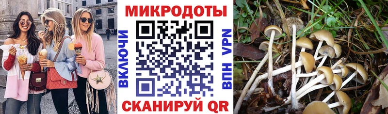 KRAKEN маркетплейс  Цивильск  Псилоцибиновые грибы MAGIC MUSHROOMS 